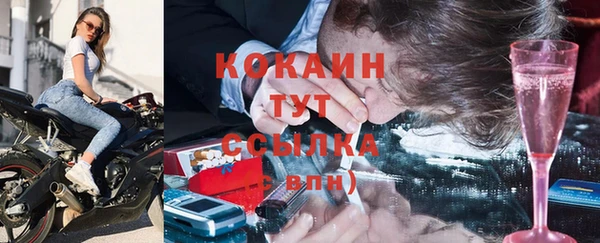 винт Горно-Алтайск