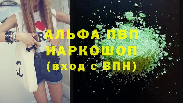 винт Горно-Алтайск