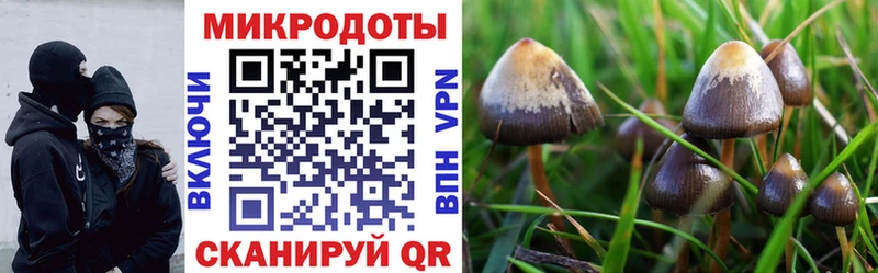 Галлюциногенные грибы Magic Shrooms  блэк спрут ONION  Домодедово 